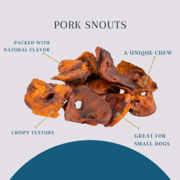 Platinum Pet Treats - Pork Snouts (Pack of 10)