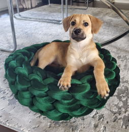 Mika Velvet Braid Pet Bed (Emerald Green)