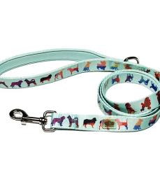 Dog Leash (Color: Seafoam, size: large)