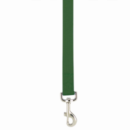 CC Lead (Color: Dark Green, size: 4ftx5/8in)