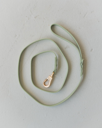 Waterproof Dog Leash (Color: Sage Green, size: 2x152cm)