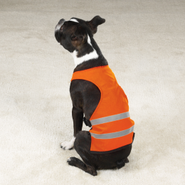 GG Safety Vest (Color: Orange, size: small)