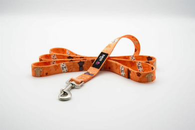 The Dowg Dog Leash (Color: Caribbean Canine, size: large)